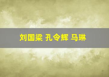 刘国梁 孔令辉 马琳